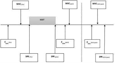 Gait and Neuromuscular Changes Are Evident in Some Masters Club Level Runners 24-h After Interval Training Run